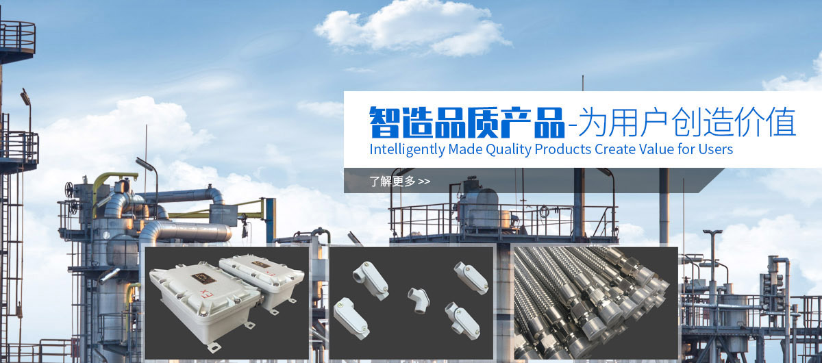 河北京冀防爆电器仪表有限公司